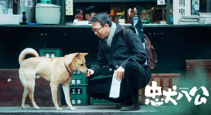 bilibili 地域限制